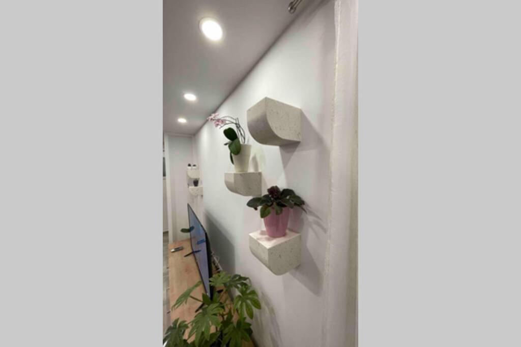 Luxury Apartman Bili Подгора Екстер'єр фото